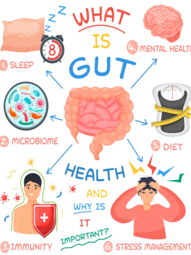 How to Improve Gut Health?